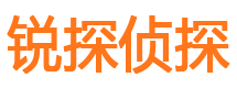 代县市私家侦探公司